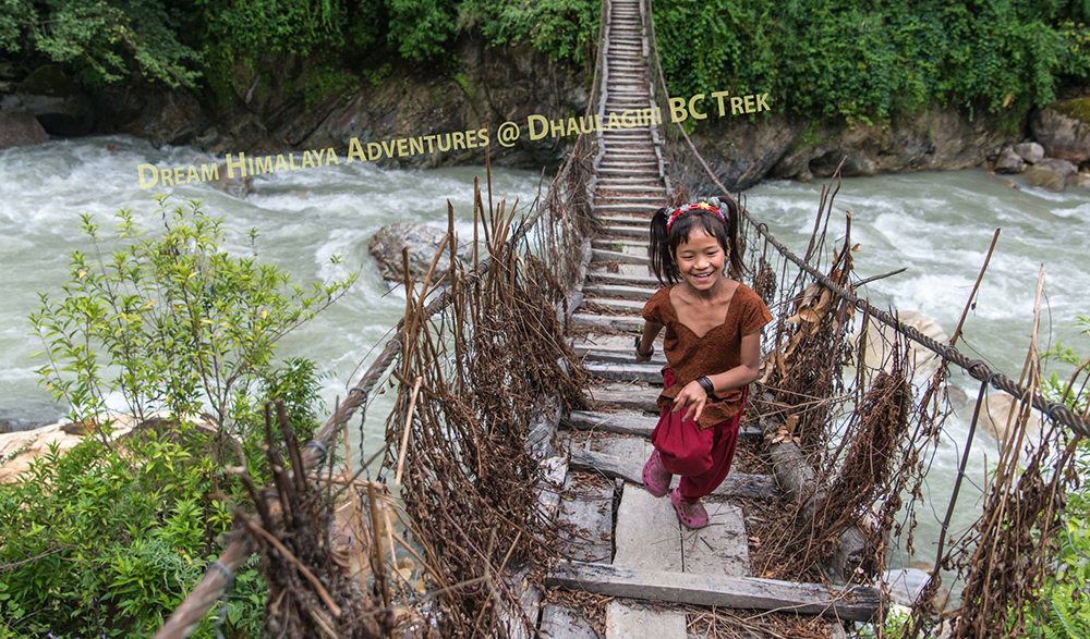 Wooden bridge Dhaulagiri trekking