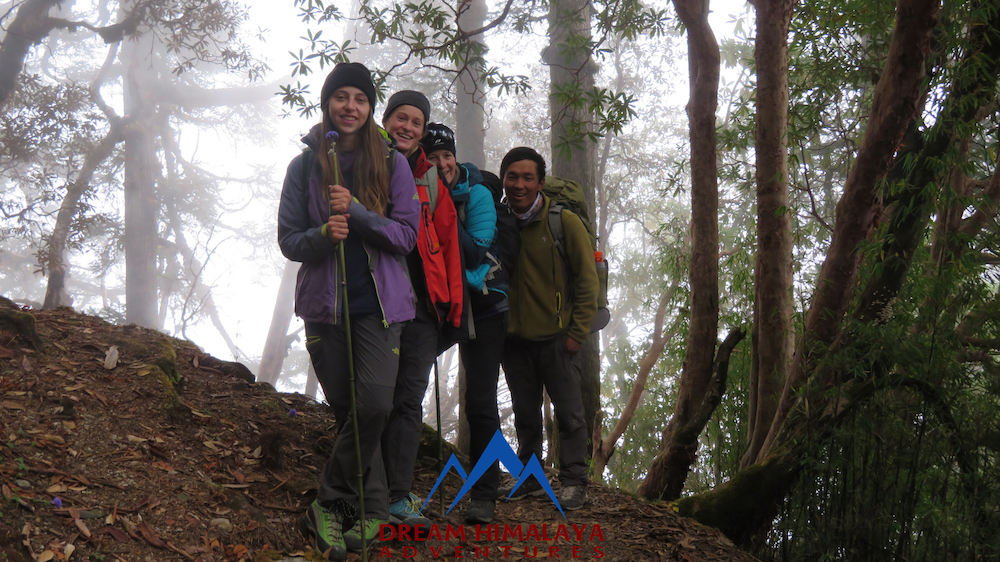 Forest in Langtang Gosaikunda Trekking